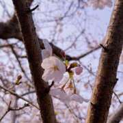 ヒメ日記 2026/03/29 19:05 投稿 月宮せいら 素人専門キラキラ学園