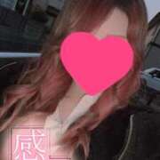 ヒメ日記 2026/04/05 14:05 投稿 月宮せいら 素人専門キラキラ学園