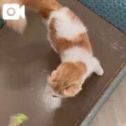 ヒメ日記 2026/06/15 10:05 投稿 美波ゆあ【PREMIUM】 素人専門キラキラ学園