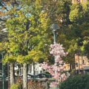 ヒメ日記 2026/03/14 16:55 投稿 小夏ろり 素人専門キラキラ学園