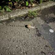 ヒメ日記 2025/10/29 22:29 投稿 かなえ もしも優しいお姉さんが本気になったら...横浜店