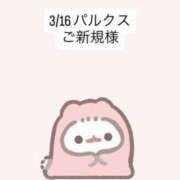 ヒメ日記 2026/03/19 16:55 投稿 堀北まほ【業界未経験】 素人専門キラキラ学園