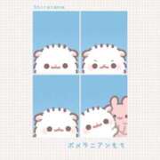 ヒメ日記 2026/03/26 07:45 投稿 堀北まほ【業界未経験】 素人専門キラキラ学園