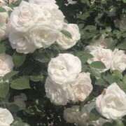 ヒメ日記 2025/10/30 17:03 投稿 桜庭みお【業界未経験】 素人専門キラキラ学園