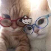 ヒメ日記 2026/02/25 00:15 投稿 佐藤るみ【優等生】 素人専門キラキラ学園