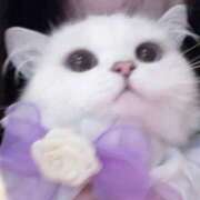 ヒメ日記 2025/10/22 23:33 投稿 川栄りお 素人専門キラキラ学園