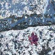 ヒメ日記 2025/11/27 09:18 投稿 川栄りお 素人専門キラキラ学園