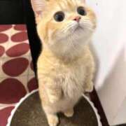 ヒメ日記 2025/12/09 20:33 投稿 川栄りお 素人専門キラキラ学園