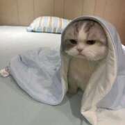 ヒメ日記 2026/01/07 23:33 投稿 川栄りお 素人専門キラキラ学園