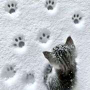 ヒメ日記 2026/01/12 10:18 投稿 川栄りお 素人専門キラキラ学園