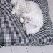 ヒメ日記 2026/02/06 21:18 投稿 川栄りお 素人専門キラキラ学園