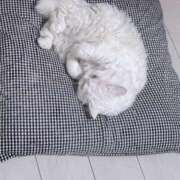 ヒメ日記 2026/02/14 21:33 投稿 川栄りお 素人専門キラキラ学園