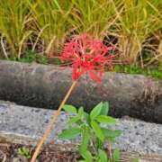 ヒメ日記 2025/10/28 17:33 投稿 夕張えみる【業界未経験】 素人専門キラキラ学園
