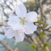 ヒメ日記 2025/10/29 23:03 投稿 夕張えみる【業界未経験】 素人専門キラキラ学園