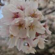 ヒメ日記 2025/10/30 14:48 投稿 夕張えみる【業界未経験】 素人専門キラキラ学園