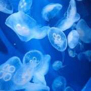 ヒメ日記 2025/10/31 21:48 投稿 夕張えみる【業界未経験】 素人専門キラキラ学園