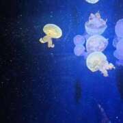 ヒメ日記 2025/11/02 23:03 投稿 夕張えみる【業界未経験】 素人専門キラキラ学園