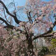ヒメ日記 2025/11/03 12:03 投稿 夕張えみる【業界未経験】 素人専門キラキラ学園