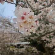 ヒメ日記 2025/11/04 13:33 投稿 夕張えみる【業界未経験】 素人専門キラキラ学園