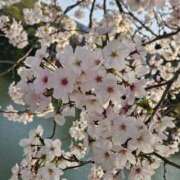 ヒメ日記 2025/11/05 09:06 投稿 夕張えみる【業界未経験】 素人専門キラキラ学園