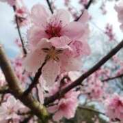 ヒメ日記 2025/11/08 08:18 投稿 夕張えみる【業界未経験】 素人専門キラキラ学園