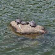 ヒメ日記 2025/11/10 14:18 投稿 夕張えみる【業界未経験】 素人専門キラキラ学園