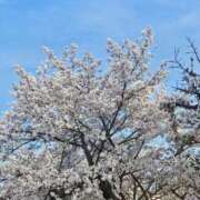 ヒメ日記 2025/11/11 14:18 投稿 夕張えみる【業界未経験】 素人専門キラキラ学園