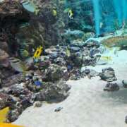 ヒメ日記 2025/11/12 23:03 投稿 夕張えみる【業界未経験】 素人専門キラキラ学園