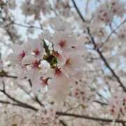 ヒメ日記 2025/11/13 16:48 投稿 夕張えみる【業界未経験】 素人専門キラキラ学園