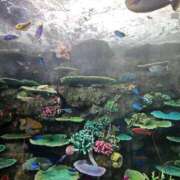 ヒメ日記 2025/11/14 23:18 投稿 夕張えみる【業界未経験】 素人専門キラキラ学園