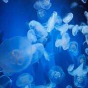 ヒメ日記 2025/11/19 23:48 投稿 夕張えみる【業界未経験】 素人専門キラキラ学園