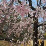ヒメ日記 2025/11/21 10:27 投稿 夕張えみる【業界未経験】 素人専門キラキラ学園
