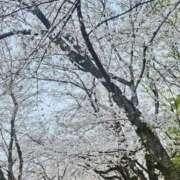 ヒメ日記 2025/11/25 09:18 投稿 夕張えみる【業界未経験】 素人専門キラキラ学園