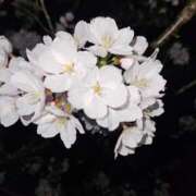 ヒメ日記 2025/11/25 17:48 投稿 夕張えみる【業界未経験】 素人専門キラキラ学園