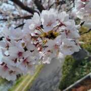 ヒメ日記 2025/11/26 09:33 投稿 夕張えみる【業界未経験】 素人専門キラキラ学園