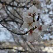 ヒメ日記 2025/11/27 10:03 投稿 夕張えみる【業界未経験】 素人専門キラキラ学園