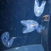 ヒメ日記 2025/11/27 23:57 投稿 夕張えみる【業界未経験】 素人専門キラキラ学園