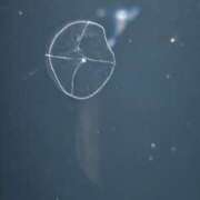 ヒメ日記 2025/11/28 22:33 投稿 夕張えみる【業界未経験】 素人専門キラキラ学園