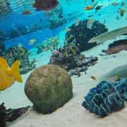 ヒメ日記 2025/11/29 22:33 投稿 夕張えみる【業界未経験】 素人専門キラキラ学園