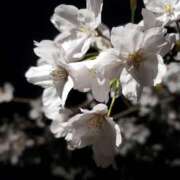 ヒメ日記 2025/11/30 19:18 投稿 夕張えみる【業界未経験】 素人専門キラキラ学園