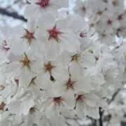 ヒメ日記 2025/12/01 14:18 投稿 夕張えみる【業界未経験】 素人専門キラキラ学園