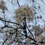 ヒメ日記 2025/12/02 16:33 投稿 夕張えみる【業界未経験】 素人専門キラキラ学園