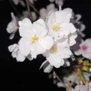 ヒメ日記 2025/12/02 21:03 投稿 夕張えみる【業界未経験】 素人専門キラキラ学園