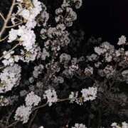 ヒメ日記 2025/12/03 19:18 投稿 夕張えみる【業界未経験】 素人専門キラキラ学園