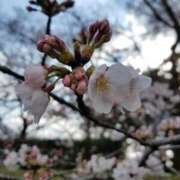 ヒメ日記 2025/12/06 11:57 投稿 夕張えみる【業界未経験】 素人専門キラキラ学園