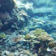 ヒメ日記 2025/12/06 23:18 投稿 夕張えみる【業界未経験】 素人専門キラキラ学園