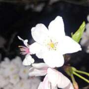 ヒメ日記 2025/12/08 19:33 投稿 夕張えみる【業界未経験】 素人専門キラキラ学園