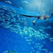 ヒメ日記 2025/12/08 23:18 投稿 夕張えみる【業界未経験】 素人専門キラキラ学園