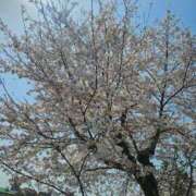 ヒメ日記 2025/12/09 17:18 投稿 夕張えみる【業界未経験】 素人専門キラキラ学園