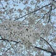 ヒメ日記 2025/12/11 16:33 投稿 夕張えみる【業界未経験】 素人専門キラキラ学園